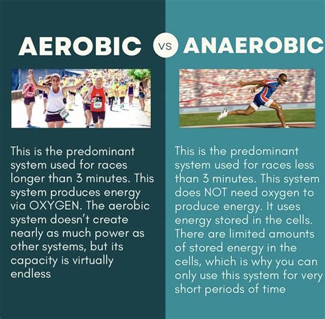 aerobic  anaerobic runverity
