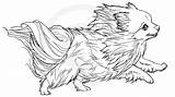 Pomeranian Spitz Lineart Line Henu Animal Richard sketch template
