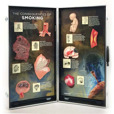 the consequences of smoking 3d display smoking 3d display