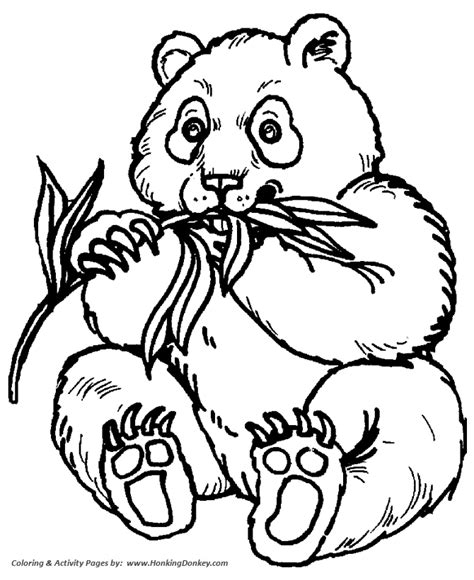 baby panda bears coloring pages