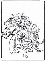 Paardenhoofd Pferdekopf Kleurplaten Paarden Malvorlagen Cavallo Testa Kleurplaat Tête Jetztmalen Caballo Volwassenen Pferde Chevaux Malvorlage Advertentie Pferd Cavalli Popular Caballos sketch template