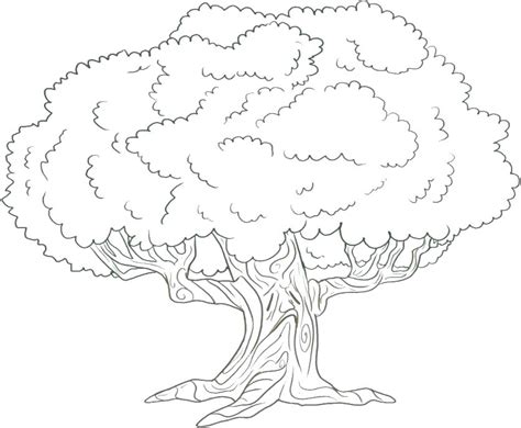 oak trees coloring pages  getcoloringscom  printable colorings