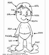 Body Parts Coloring Pages Kids Printable Girls Getcolorings Color sketch template