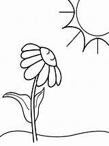 Coloring Flower Pages Chamomile Flowers Kids Color Recommended sketch template
