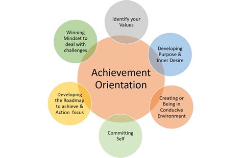 life excellence insights holistic approach  achievement orientation