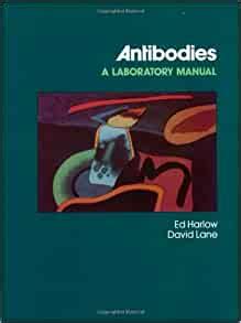 antibodies  laboratory manual  medicine health