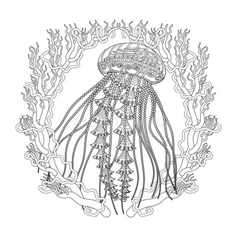high detailed jellyfish  coloring book  adults stock vector