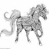 Paard Volwassenen Mandalas Paarden Corrie Kleuren sketch template
