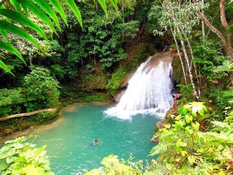 Blue Hole Jamaika Dieser Wasserfall Liegt Mitten Im Tropenwald