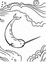 Coloring Narwhal Pages Unicorn Sea Printable Kids Drawing Color Cute Print Baby Template Whale Supercoloring Online sketch template