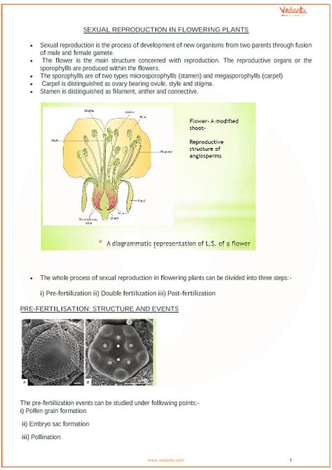 cbse class 12 biology chapter 2 sexual reproduction in