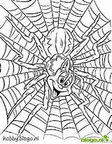 Kleurplaat Spinnen Stemmen sketch template