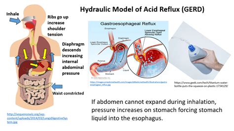 Breathing Reduces Acid Reflux And Dysmenorrhea Discomfort