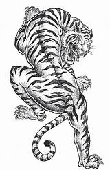 Tiger Coloring Tattoo Pages Adult Print Tattoos Japanese Color Designs Tigre Craftfoxes Body Books Fake Amazon Tatoo Drawings Sleeve Cross sketch template