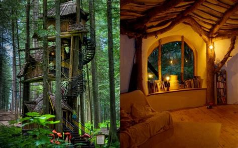 treehouses   world    dreamiest stay