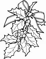 Holly Coloring Christmas Pages Berry Xmas sketch template