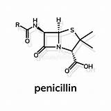 Penicillin Penicillina Chemische Formula Penicilline Formule Formel Struttura Chimica Molecolare Molecule Illustrationen Vektoren sketch template