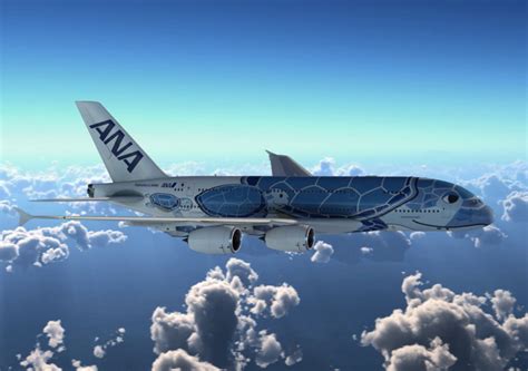 ana  feature couch seats    cabin airline ratings