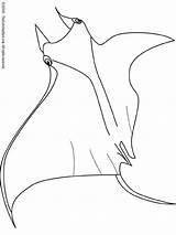 Raie Coloriage Manta Ray Coloring Dessin Pages Imprimer Colouring Colorier Lightupyourbrain sketch template