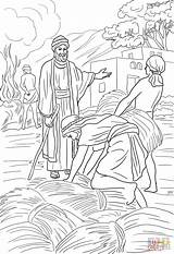 Wheat Gleichnis Weizen Jesus Unkraut Kids Parable Weeds Ausmalbilder Parables sketch template