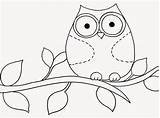 Sketsa Burung Hantu Mewarnai Kolase Belajar Hewan Narmadi Diwarnai Tk sketch template