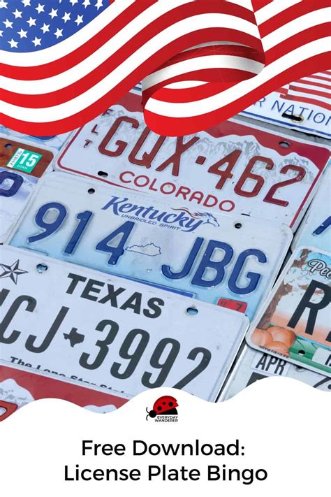 license plate bingo spot  plate color  state