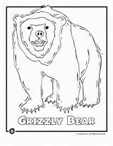 Coloring Pages Endangered Animals America North Animal Grizzly Bear Rainforest Species Bird Extinct Ocean Wolf Prehistoric sketch template