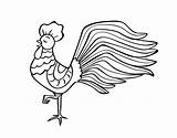 Rooster Coloring Wild Coloringcrew sketch template