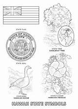 Coloring Hawaii State Pages Tree Symbols Hawaiis Clipart Hawaiian Printable Clipground Flag Themed Books Supercoloring Comments sketch template