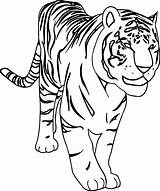 Harimau Dangerous Koleksi Kepada Mewarna Ringkasan Diberikan Danger Wecoloringpage sketch template