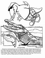 Louisiana Cajun Crawfish Swamp sketch template