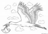 Baby Stork Draw Coloring Pages Drawing Storks Step Printable Tutorials Coloringpagesonly Tutorial Popular sketch template