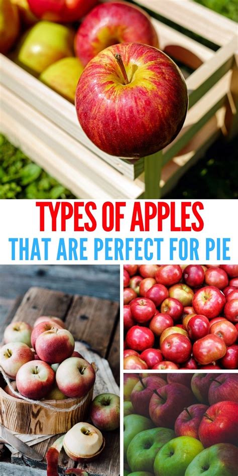 Ultimate Guide To The Best Apples For Baking This Season Best Apples