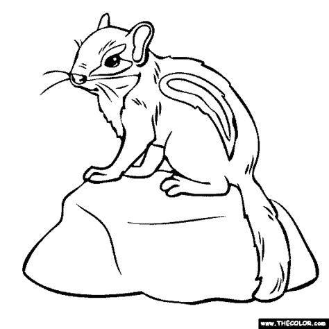 chipmunk coloring pages