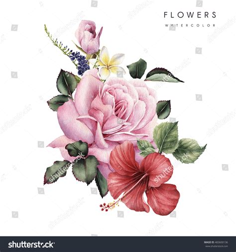 bouquet flowers watercolor    stock illustration