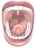 amandelstenen top middelen gele brokjes stukjes uit keel oorzaken adviezen