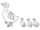 duck coloring pages  printable coloring pages