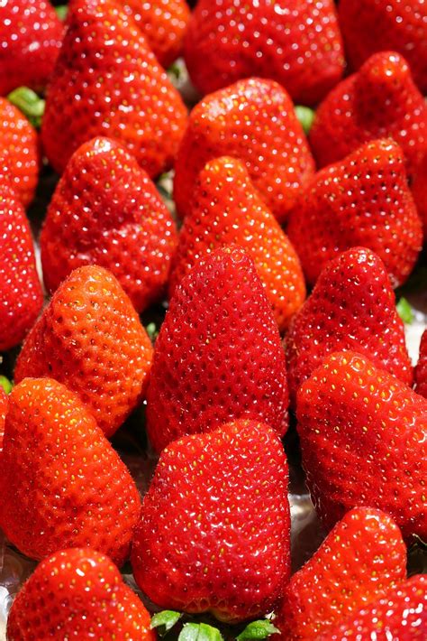 strawberries cute red  photo  pixabay pixabay
