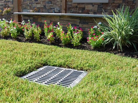 backyard drainage companies rickyhil outdoor ideas backyard
