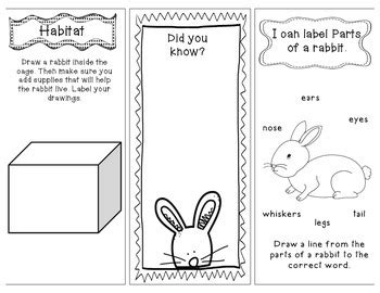 pet rabbits research writing  technology interactive brochure