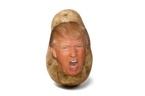 trump faced potatoes      send   friends eater
