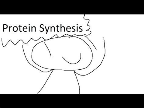 proto synthesis  biology project youtube