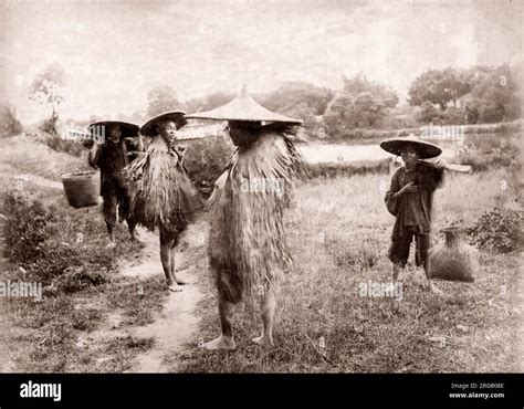 century vintage photograph china chinese peasants farm workers  hats  grass