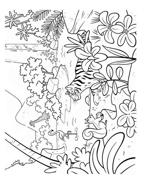 jungle animals coloring pages kidsuki