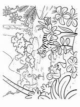 Jungle Coloring Pages Printable Nature Print sketch template