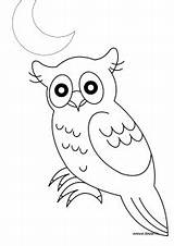 Hibou Hiboux Coloriages Chouette Owls Enfants Foret Forêt Nuit Oiseau sketch template