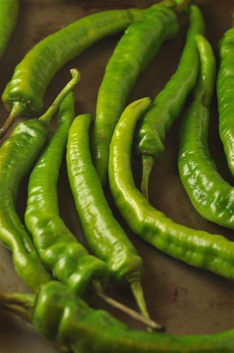 identifying  common long green chile pepper