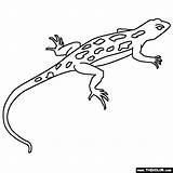 Lizard Coloring Pages Printable Pets Color Lizards Animal Online Kids Animals Books Thecolor Book Clip Print Choose Board Search Reptile sketch template