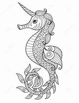 Seahorse Hippocampe Licorne Caballito Mer Einhorn Cuerno Drawing Seahorses Griffonnage Vektoren Illustrationen sketch template