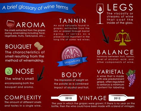 A Brief Glossary Of Wine Terms Infographic Iwfs Blog